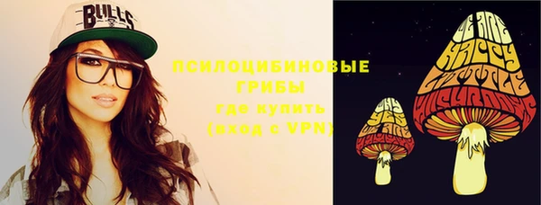 твердый Бородино