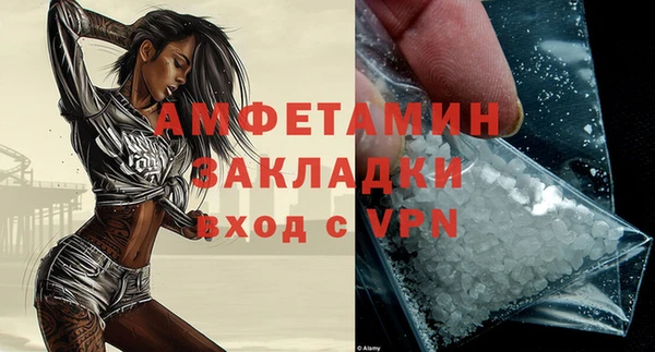 твердый Бородино
