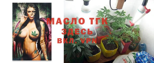 твердый Бородино