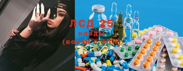 твердый Бородино