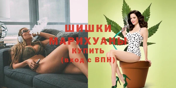 твердый Бородино
