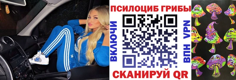 цена Благовещенск Галлюциногенные грибы Psilocybe